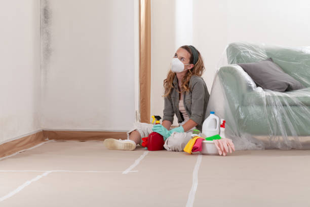 Reliable Bathroom Mold Removal contractor in Halifax, NC by WQB Mold Removal